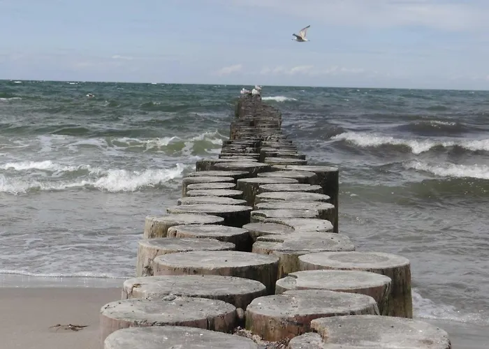 Meerzeit Graal-müritz Graal-Mueritz